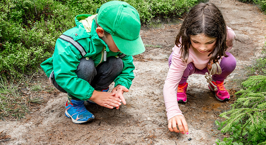 boy and girl sitting on forest ground exploring and learning about nature and insects. Looking at a black bug.